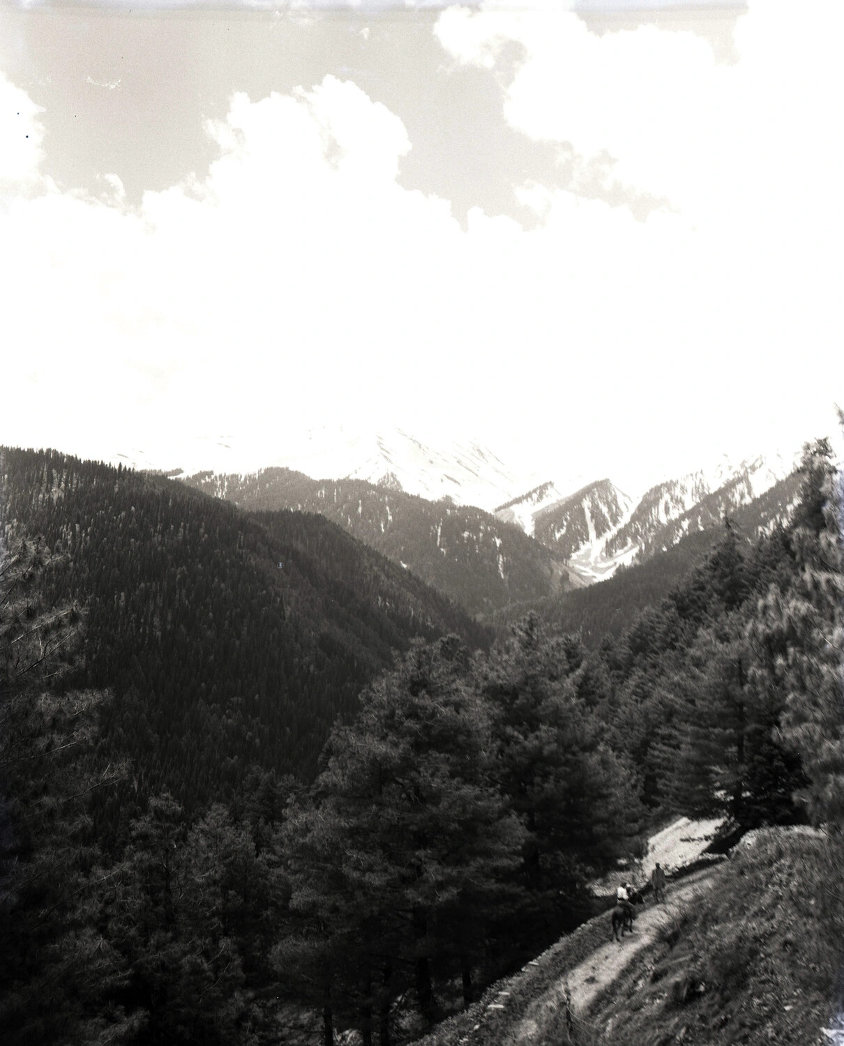 Mountain Trail and Snow-Capped Peaks, Burma-India Frontier, 1944-45