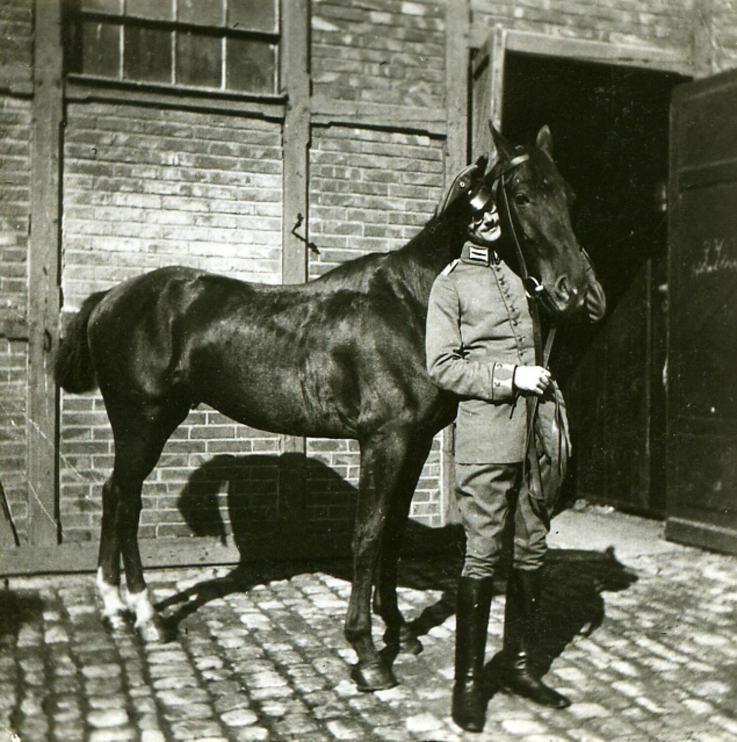 German Soldier with Horse in Stable Yard, World War I