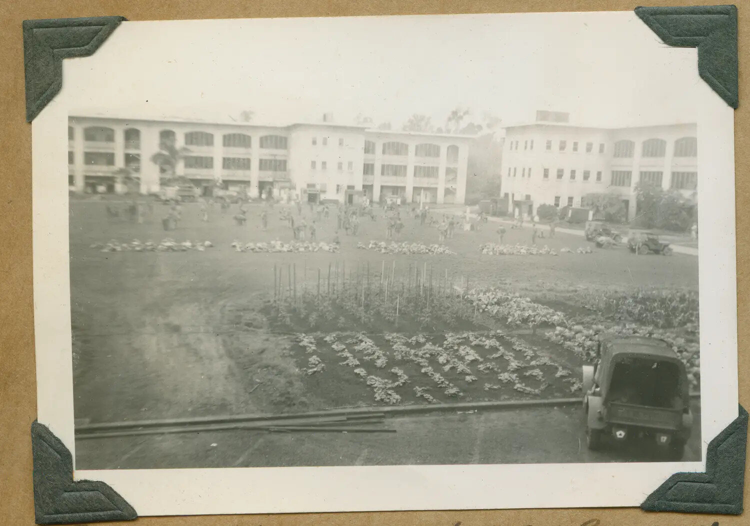 Victory Garden and Troop Formation at Army Barracks Complex, Hawaii, WWII