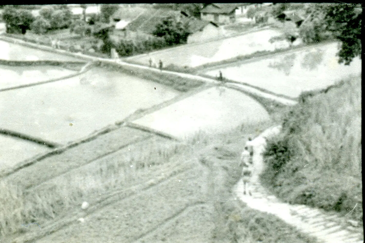 Aerial/Elevated View of Rice Paddies and Village, China-Burma Theater, WWII Era