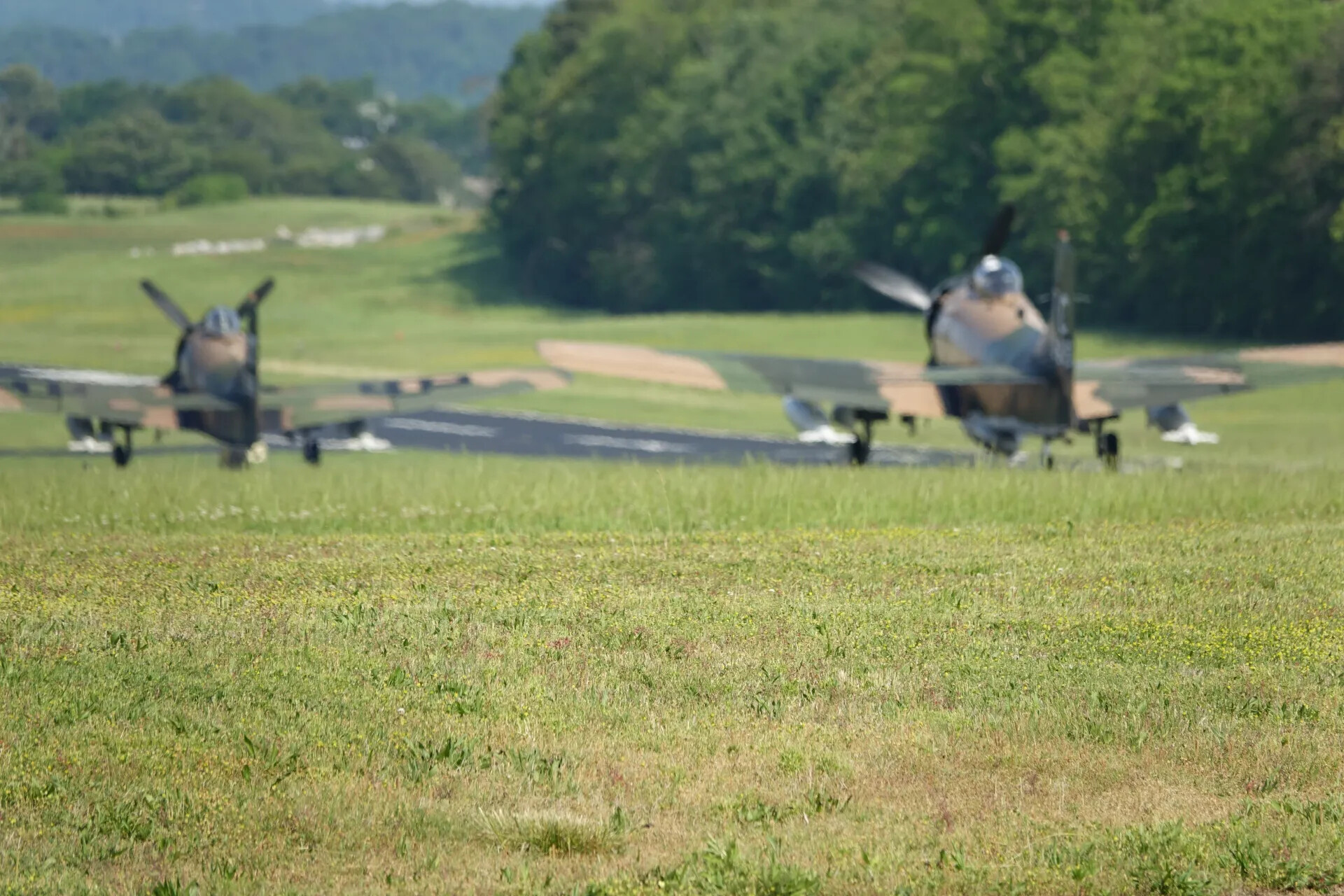 Two A-1 Skyraiders Taxiing Head-On at Airshow Event