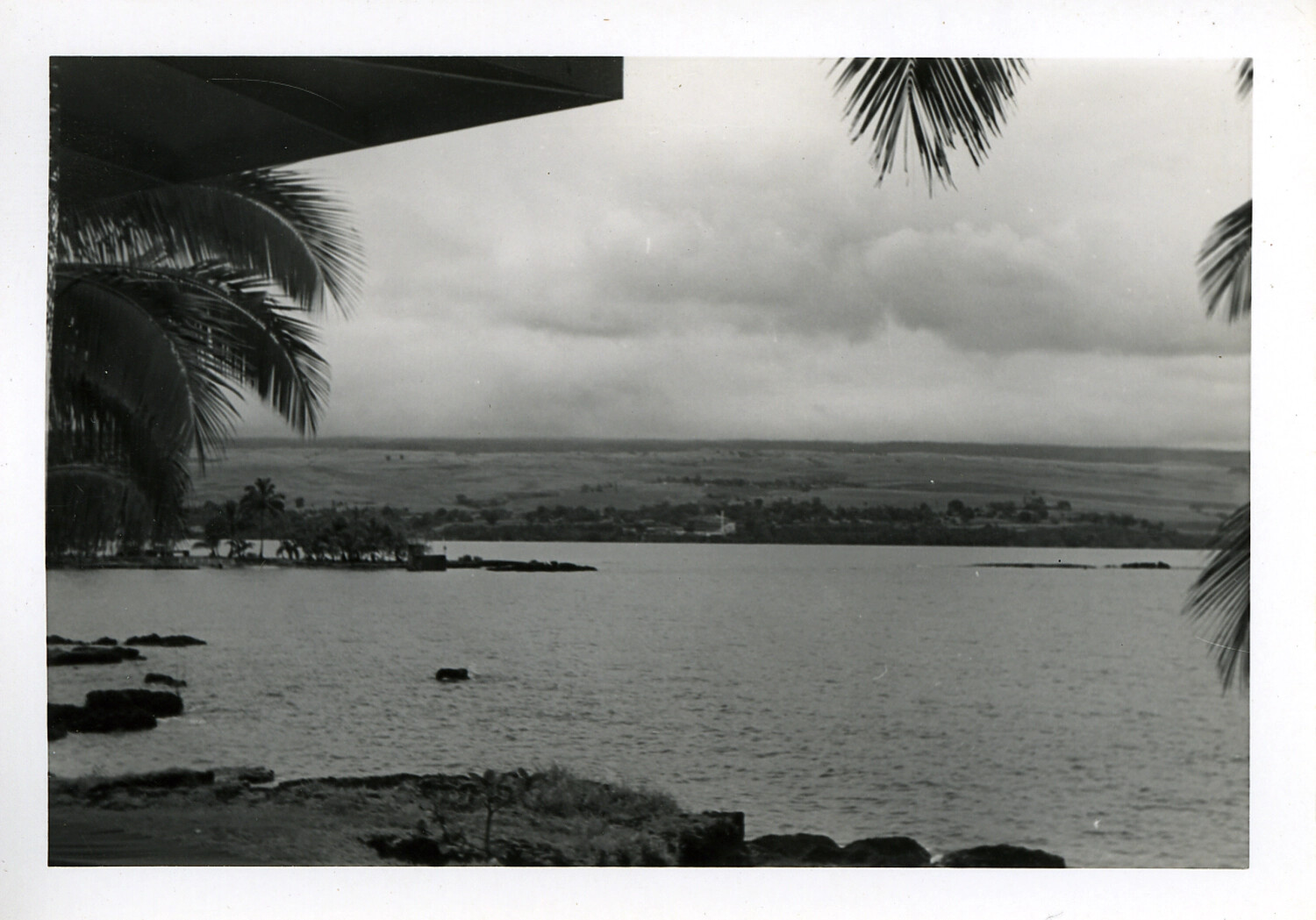 Coastal Bay View with Palm Fronds and Lava Shoreline, Hawaii