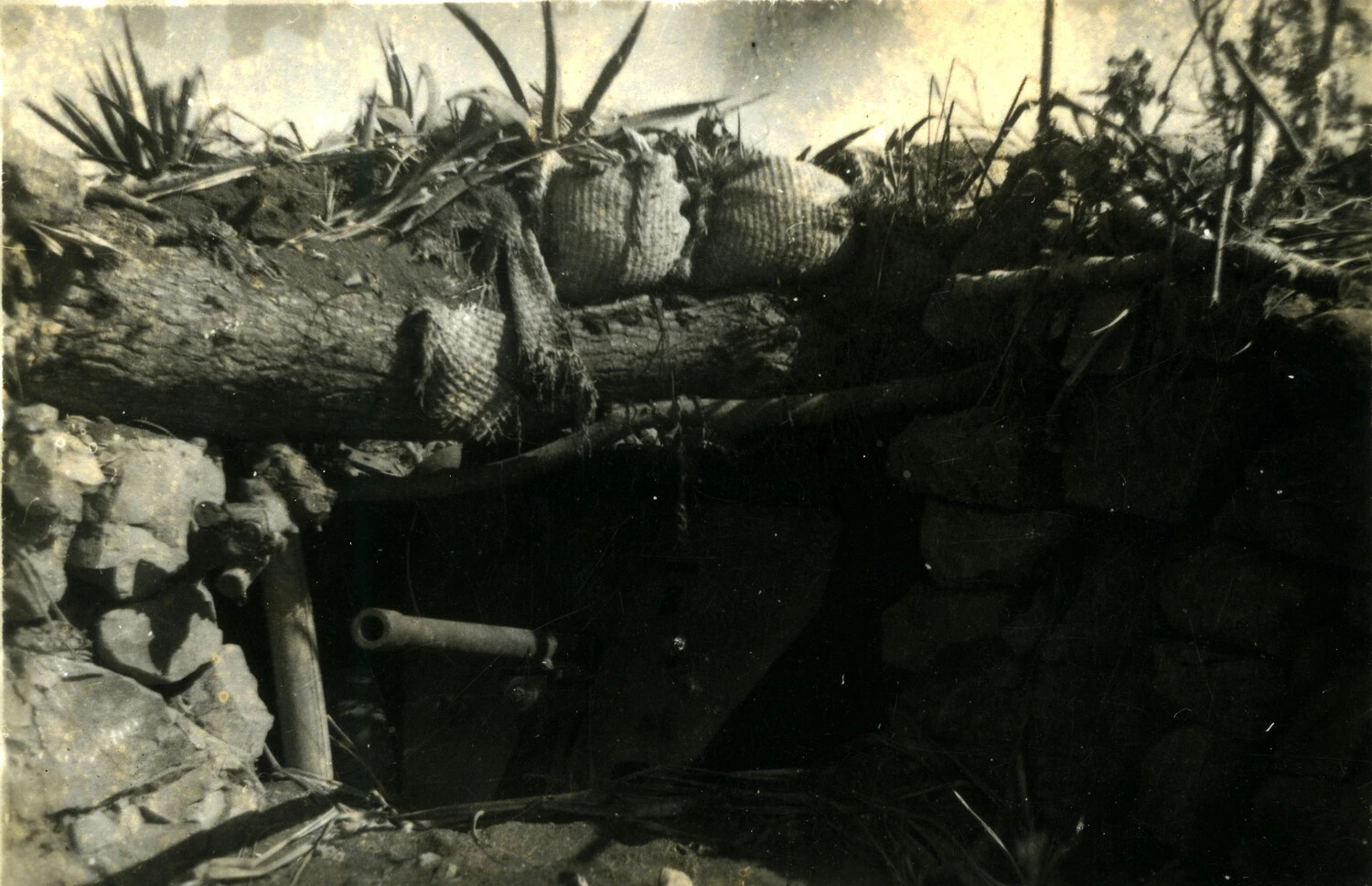 Camouflaged Japanese Defensive Position, Battle of Iwo Jima, 1945