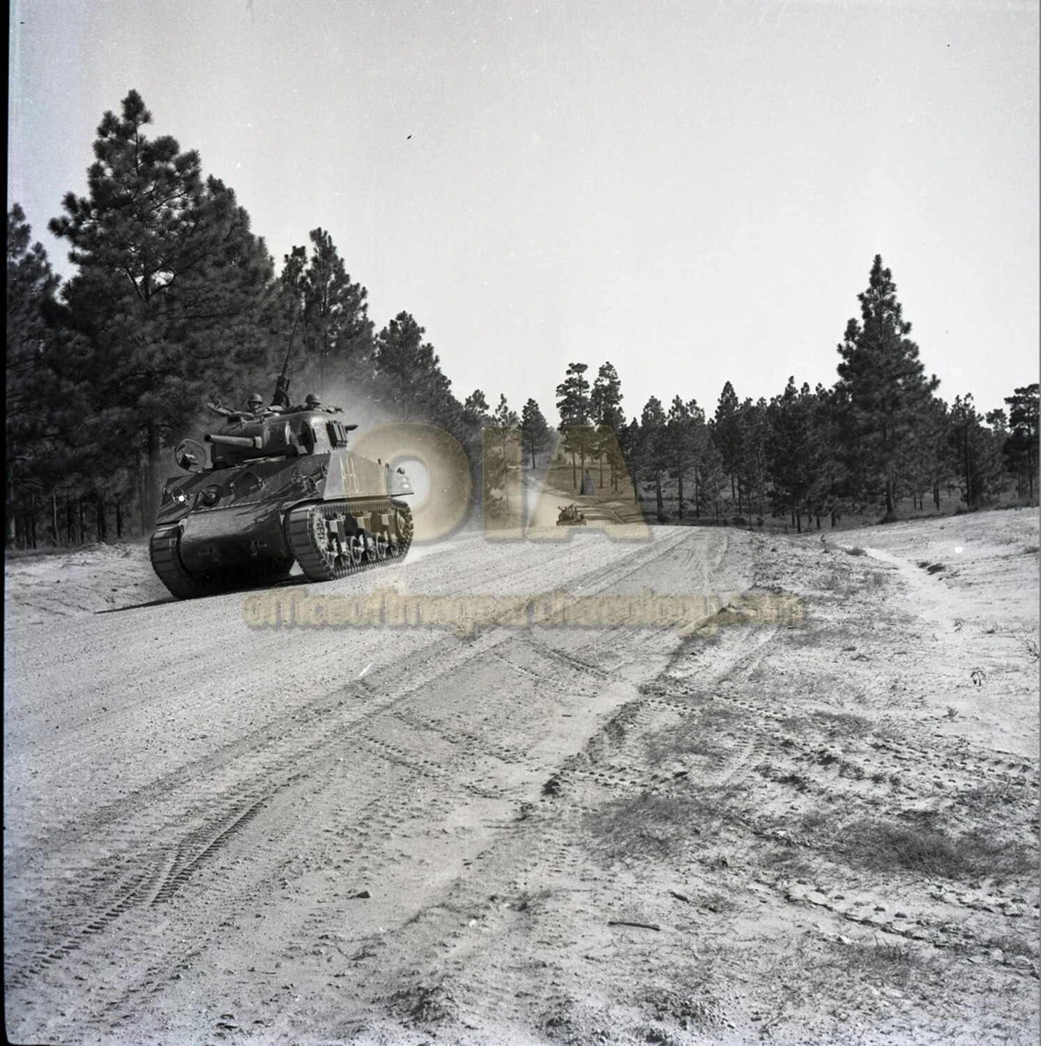 M4 Sherman Tank on Training Maneuvers Through Pine Forest (WWII-era U.S. Army)