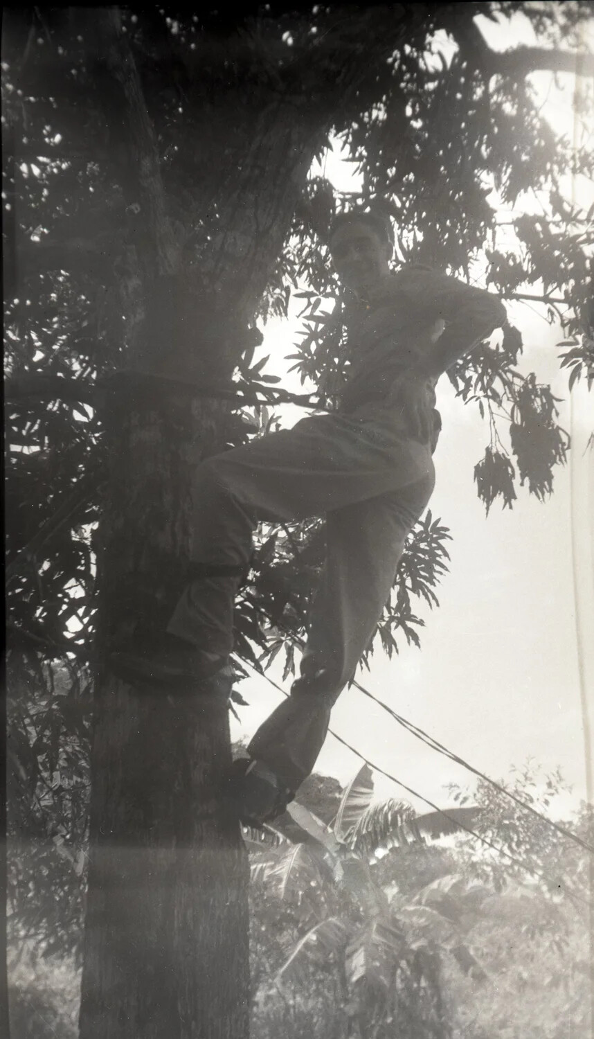 Serviceman Climbing a Tree in a Tropical Encampment, Pacific Theater, World War II Era — Jack T. Kelley Photo Album