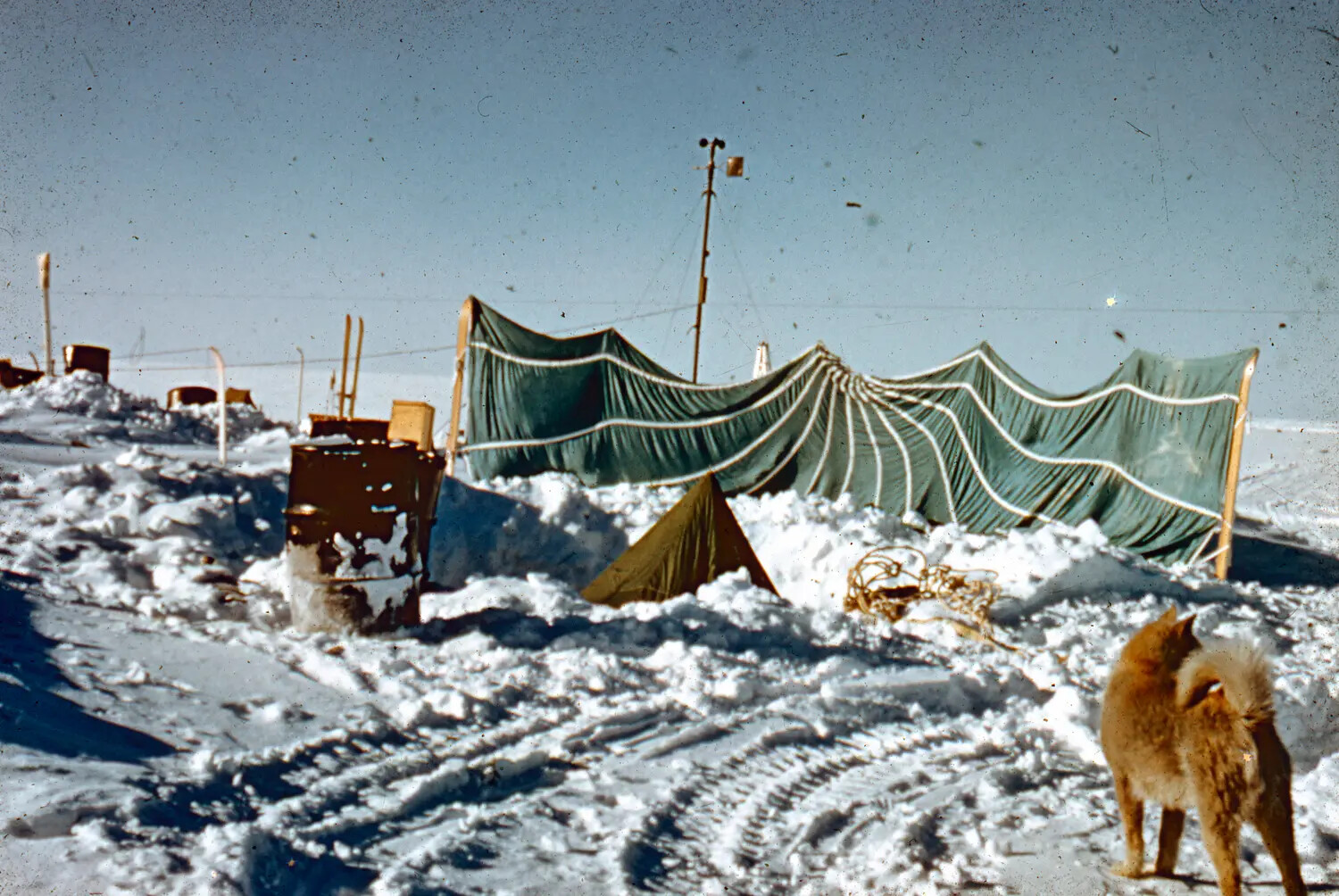 Snow Camp with Wind Screen, Weather Mast, and Sled Dog, Thule Air Base, Greenland, c. 1950-1955