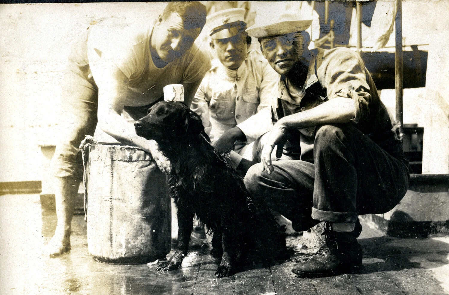 Sailors Bathing the Ship's Mascot Dog, U.S. Navy Cruiser, Early 1900s