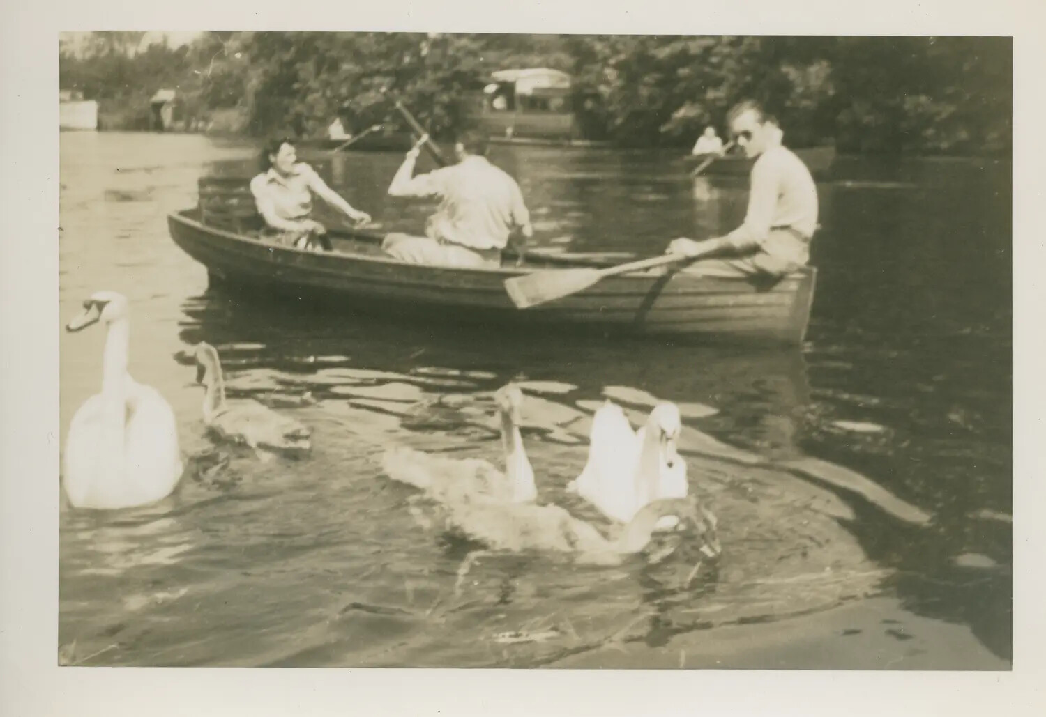 Rowboat Outing with Swans During R&R Leave, Scotland, 1944