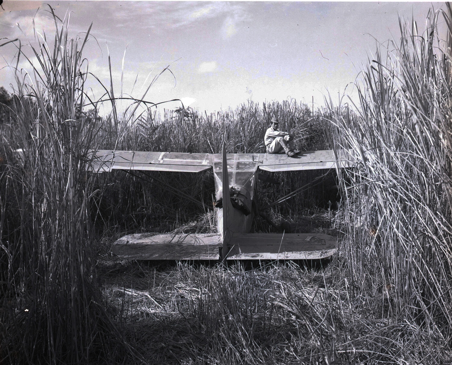 Camouflaged Aircraft Nose in Revetment, China-Burma Theater