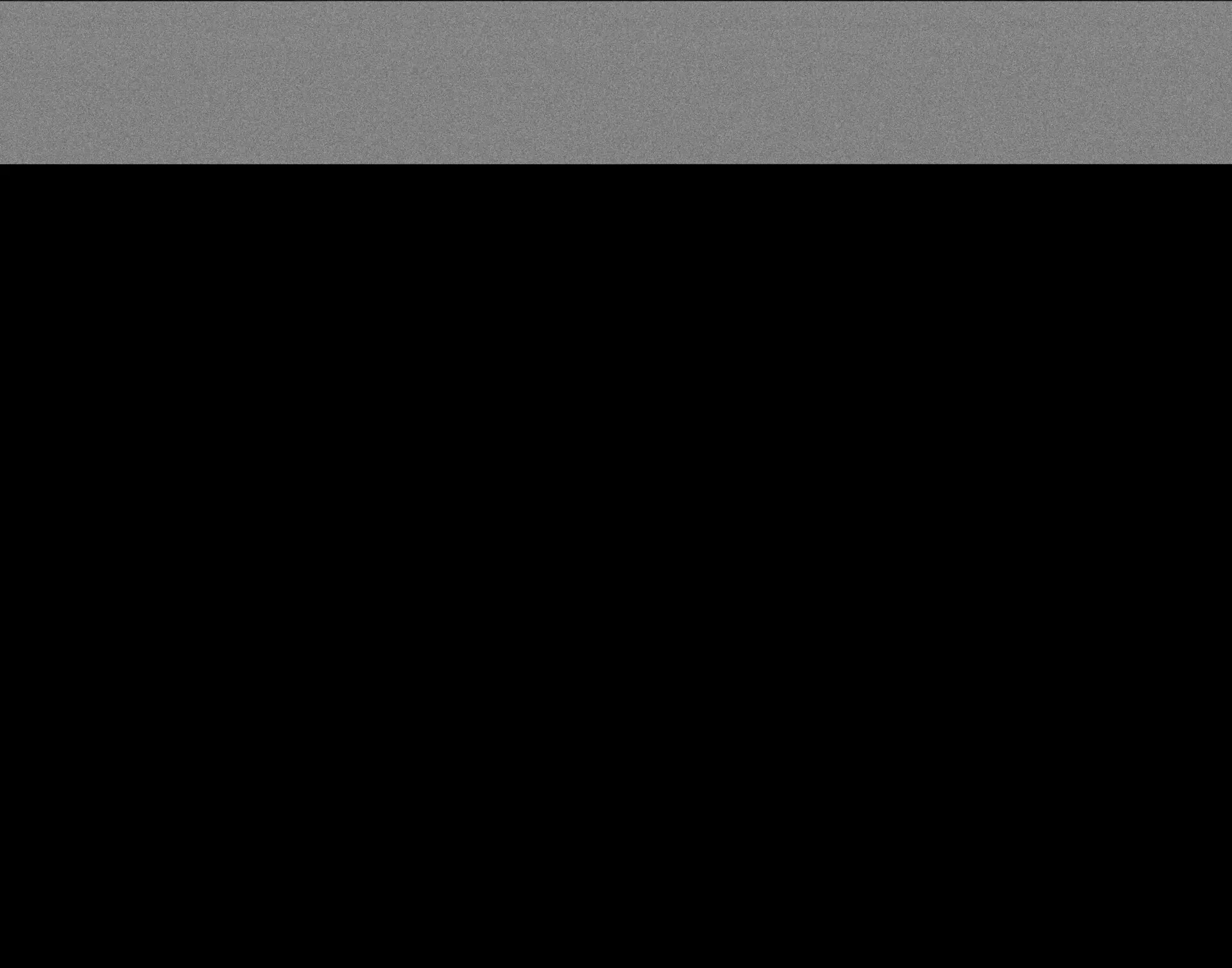 Corrupted/Partial Scan (Data Recovery Artifact) - No Legible Image Content