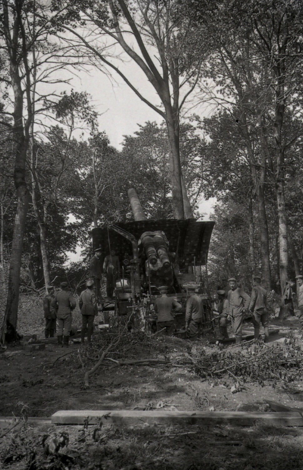 Camouflaged German Heavy Artillery Piece in Wooded Position, Alternate View, WWI