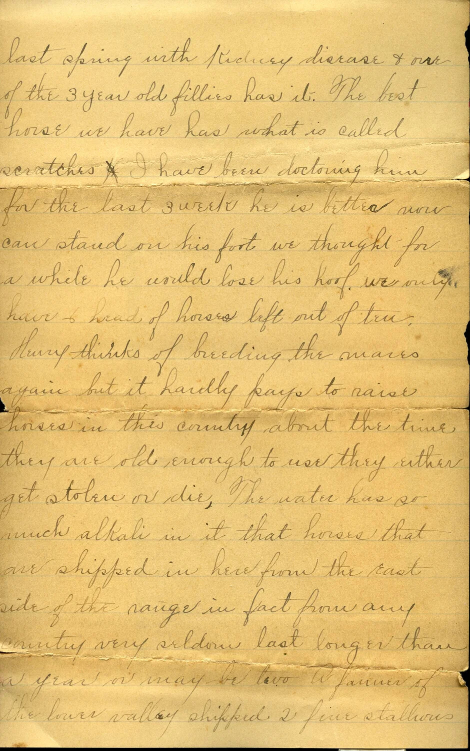 Handwritten Letter to Pvt. Willis W. Wagener from Uncle Henry and Aunt Anna, Page 3 - Ranch and Horse News