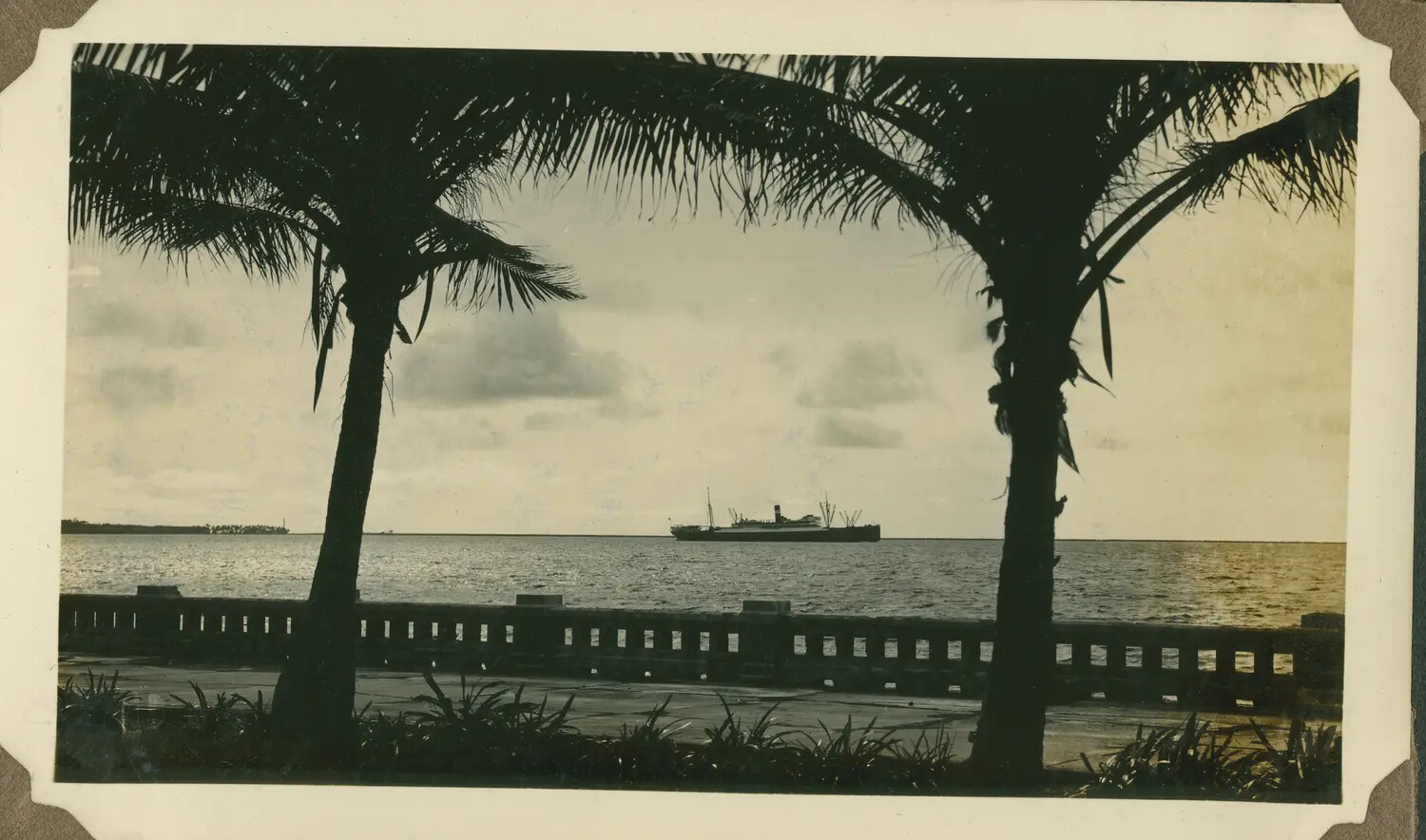Steamship Viewed Between Palm Trees Along a Canal Zone Waterfront Promenade, WWII Era