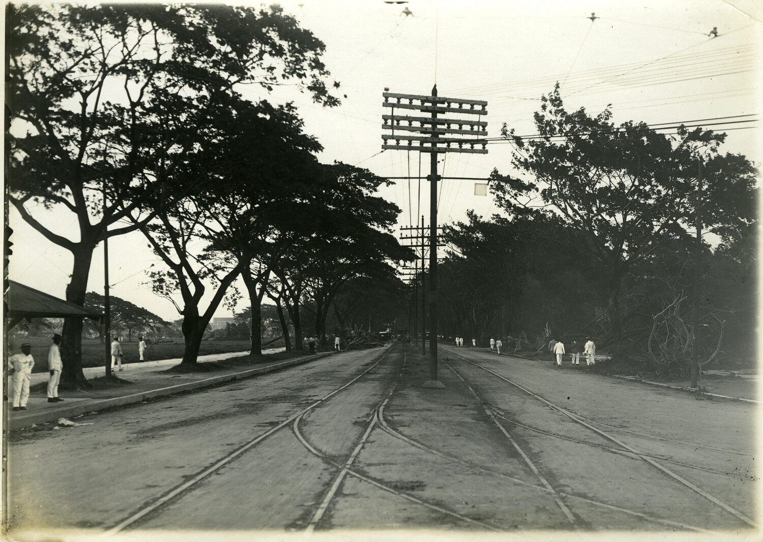 Storm-Damaged Boulevard, Manila, Philippines, Early 1900s (Carl Stone Collection)