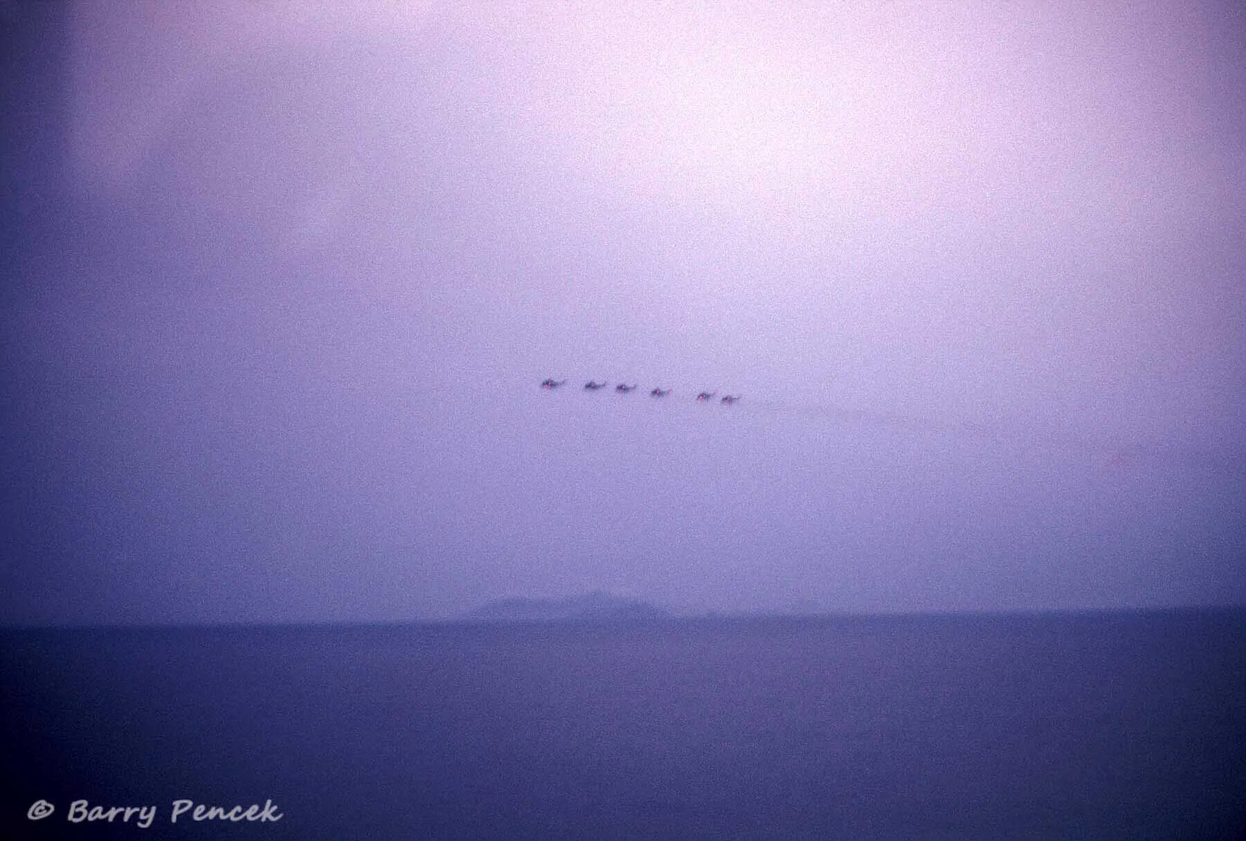 Helicopter Formation Over Coastal Water, Operation Tailwind Series