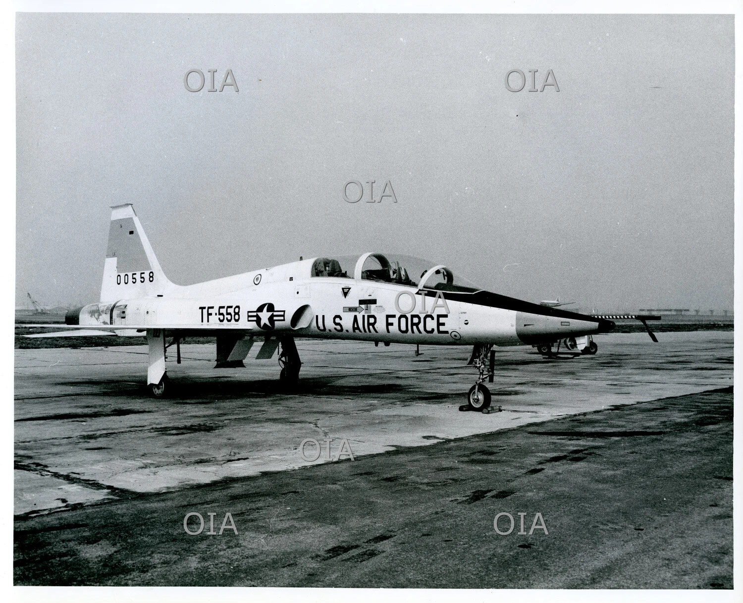 Northrop T-38 Talon Jet Trainer, USAF Tail Number 00558 / TF-558, on Ramp