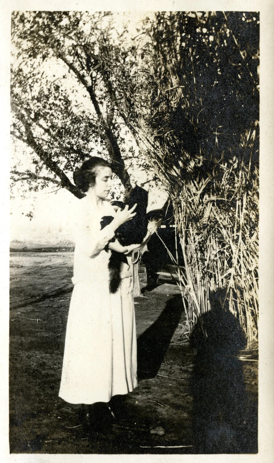 Young Woman Holding a Bird Beside a Tree, Personal Snapshot, Circa World War I Era (1910s)