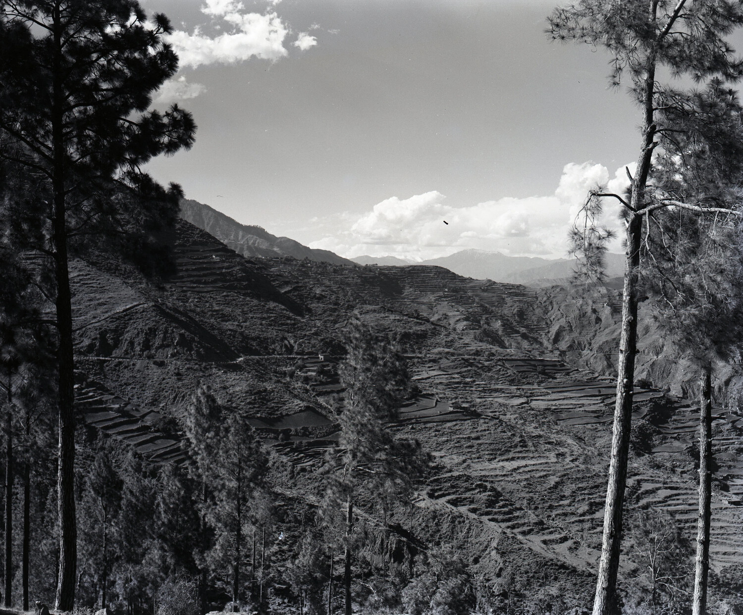 Terraced Mountain Valley, Kashmir — WWII-Era Scenic Photograph