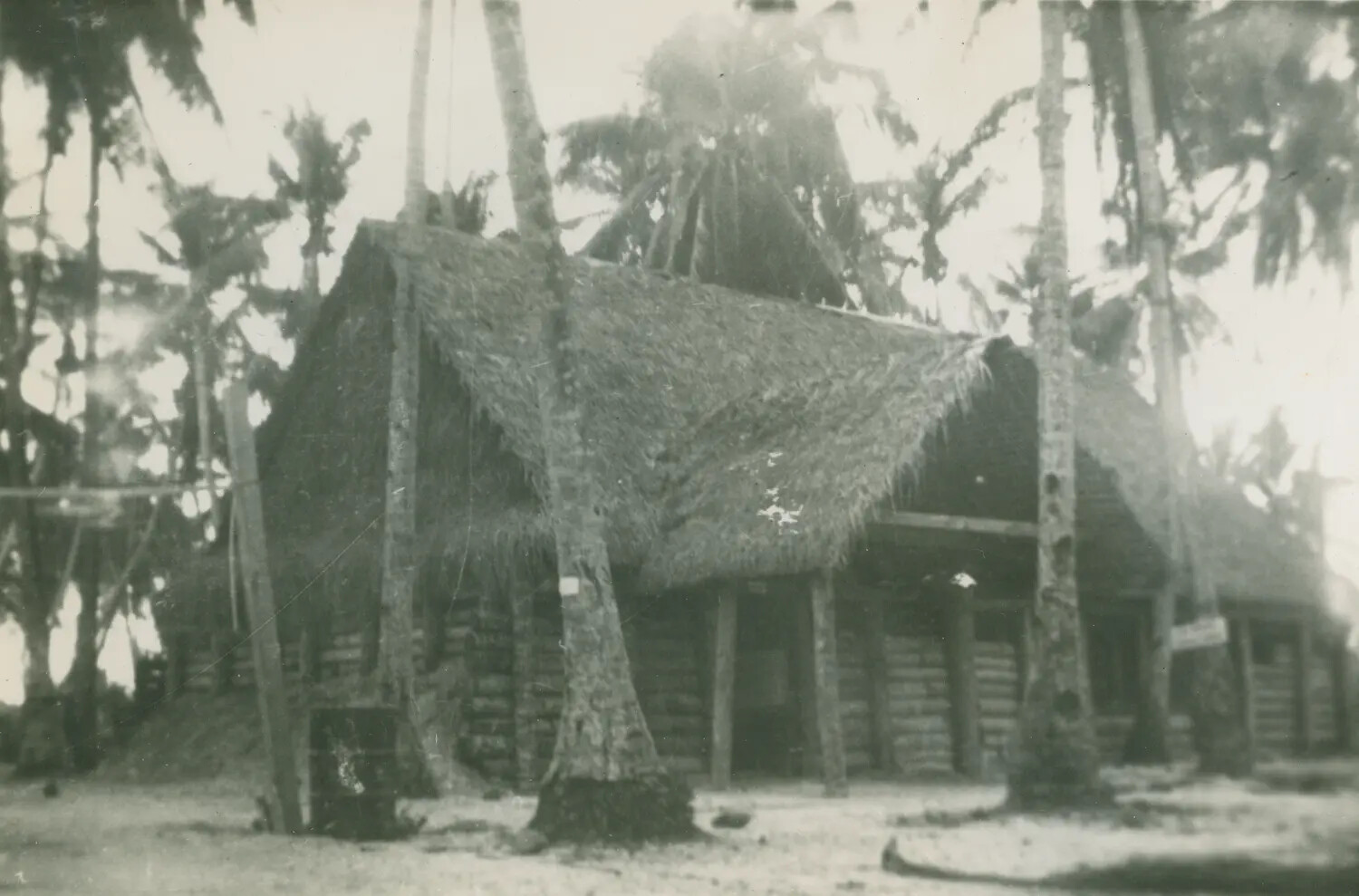 Thatched-Roof Timber Structure Amid Palm Trees, Pacific Theater, Edward P. McAleer Collection