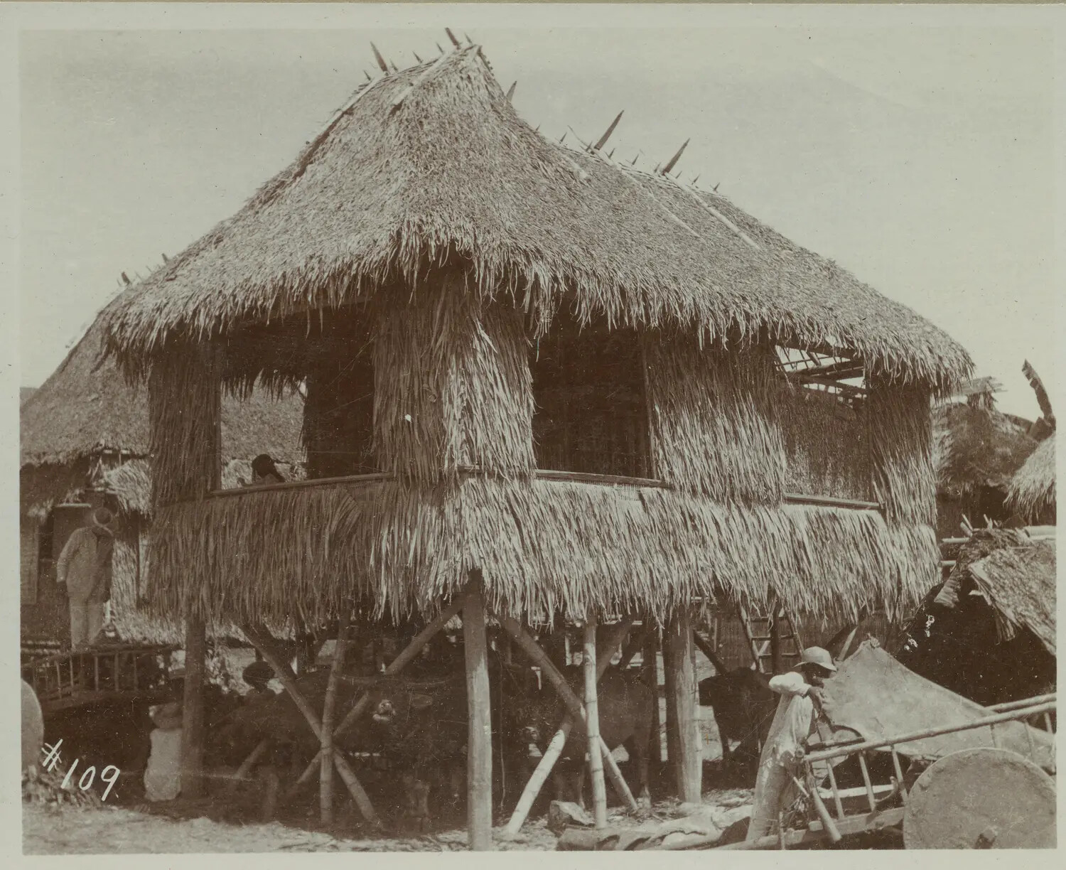 Thatched Nipa Hut on Stilts with Sheltered Livestock and Cart, Philippines, c. 1890s-1900s