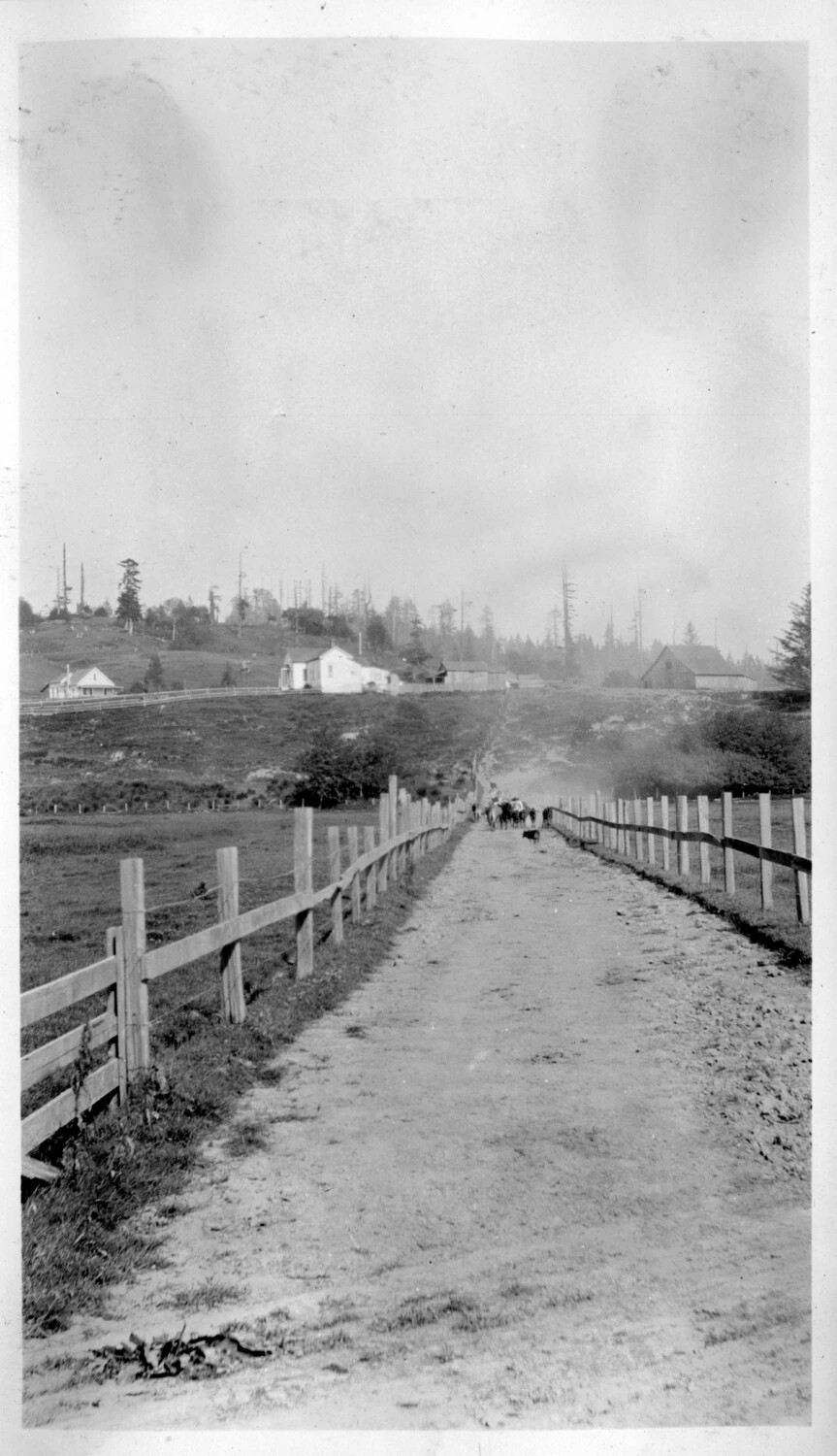 Fenced Dirt Road Leading to Hillside Farmstead, Rural California, Early 20th Century