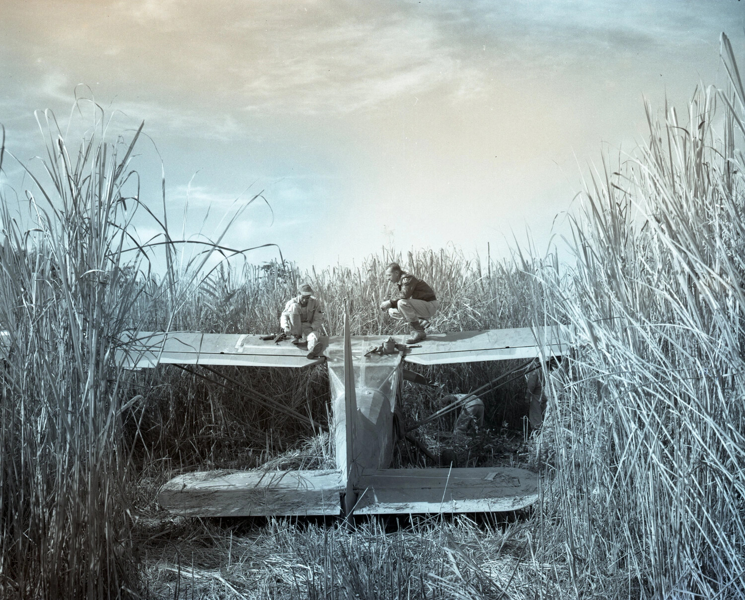 Stinson L-5 Sentinel Liaison Aircraft Down in Tall Grass, China-Burma-India Theater, World War II