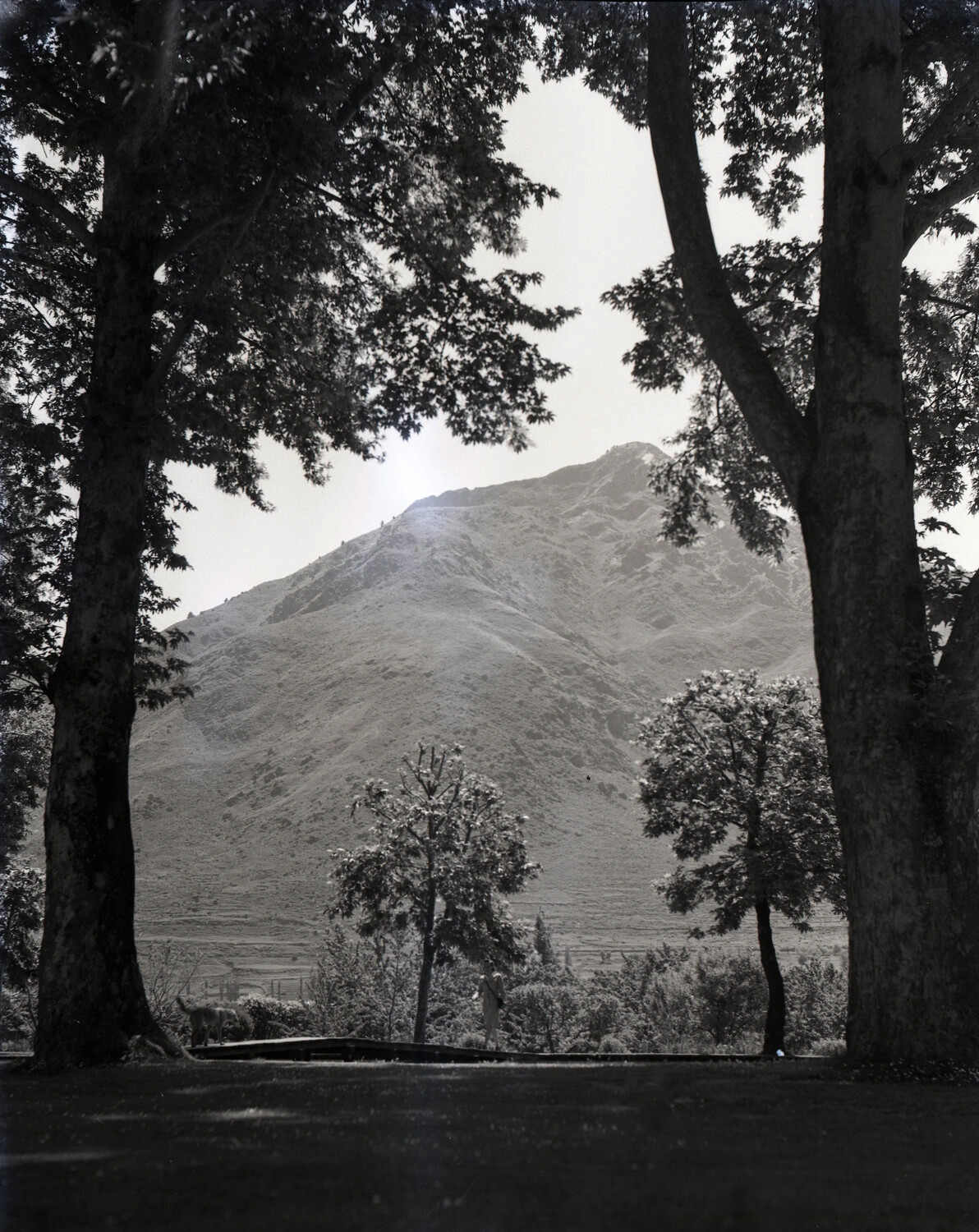 Mountain Landscape View Framed by Trees, CBI Theater, Burma/India 1944-45