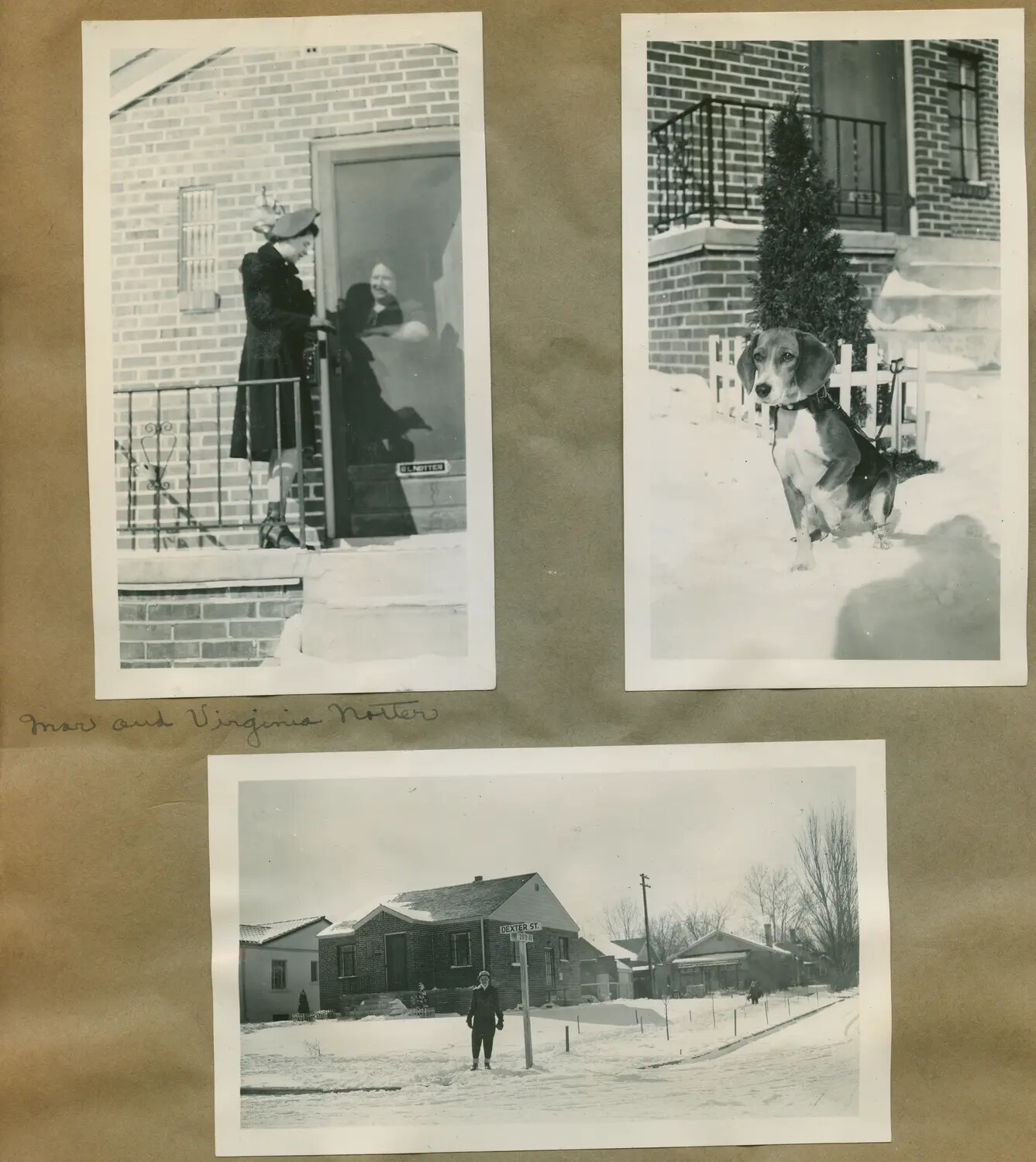 Family Snapshots of the Notter Household in Winter - Personal Album Page