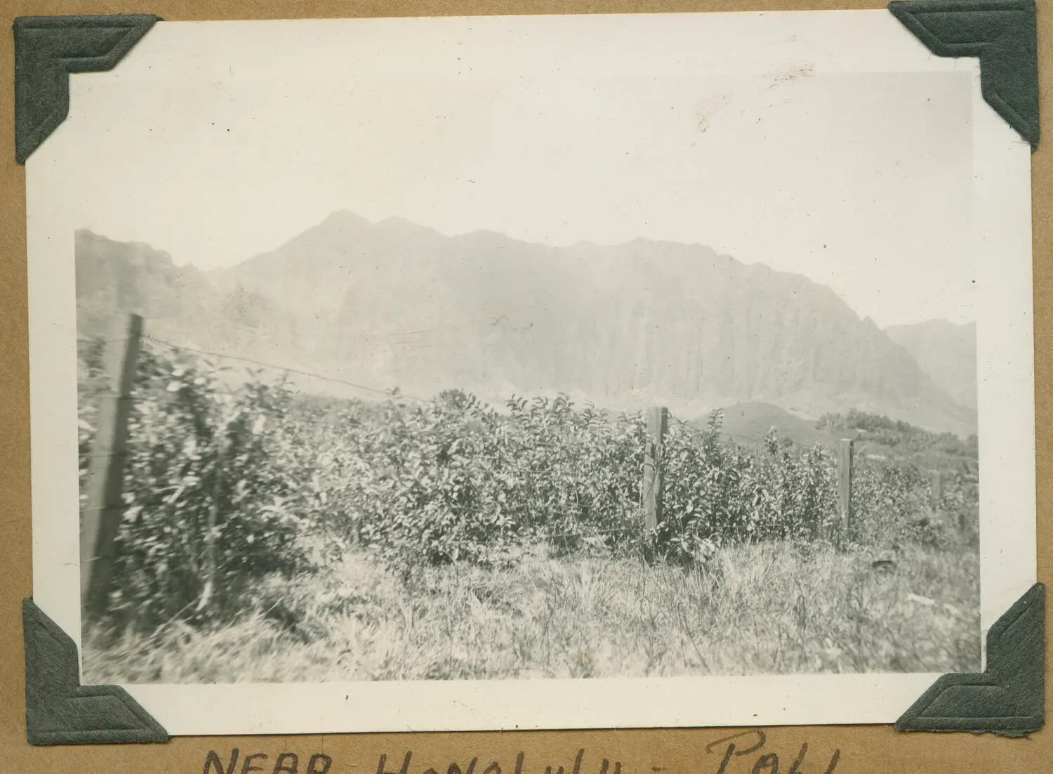 Landscape View Near Honolulu, Pali Region, Oahu, Hawaii