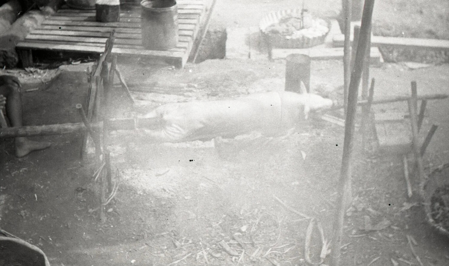 Lechon (Whole Roast Pig) on Spit, Rural Philippine Barrio, WWII Era