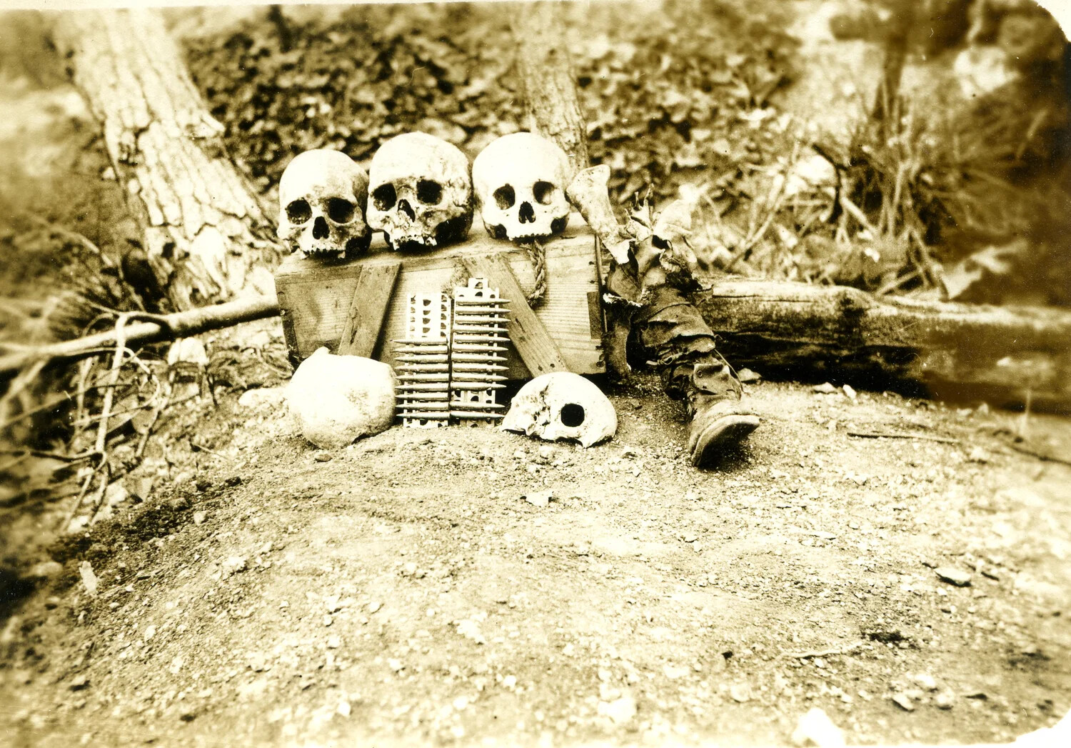 Skeletal Remains and Ammunition Crate, Pacific Theater Battlefield, Likely Ie Shima/Okinawa Campaign, 1945