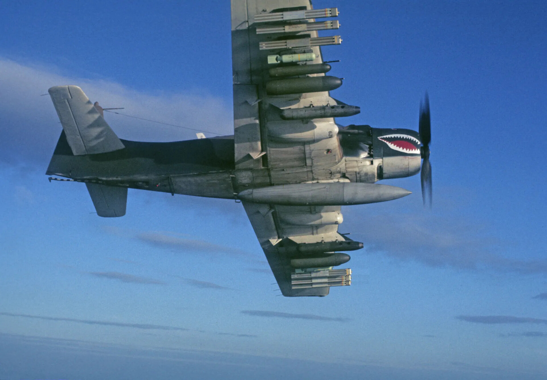 Fully Armed A-1 Skyraider with Shark-Mouth Nose Art in Banking Flight, circa January 1970