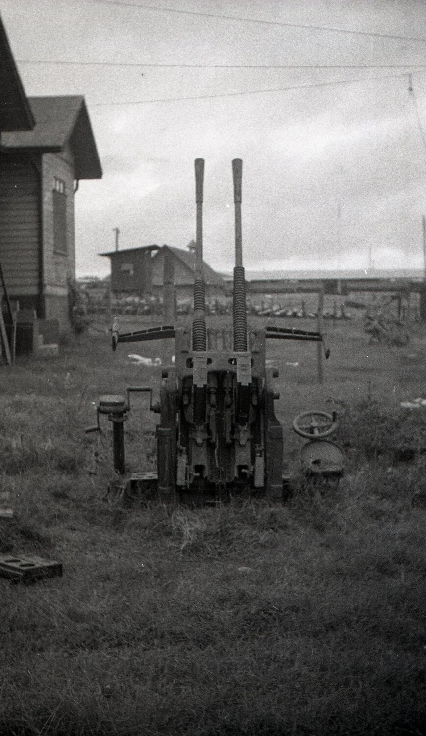 Twin-Barreled Anti-Aircraft Gun (Likely Captured Japanese Type 96 25mm), Luzon, Philippines, WWII
