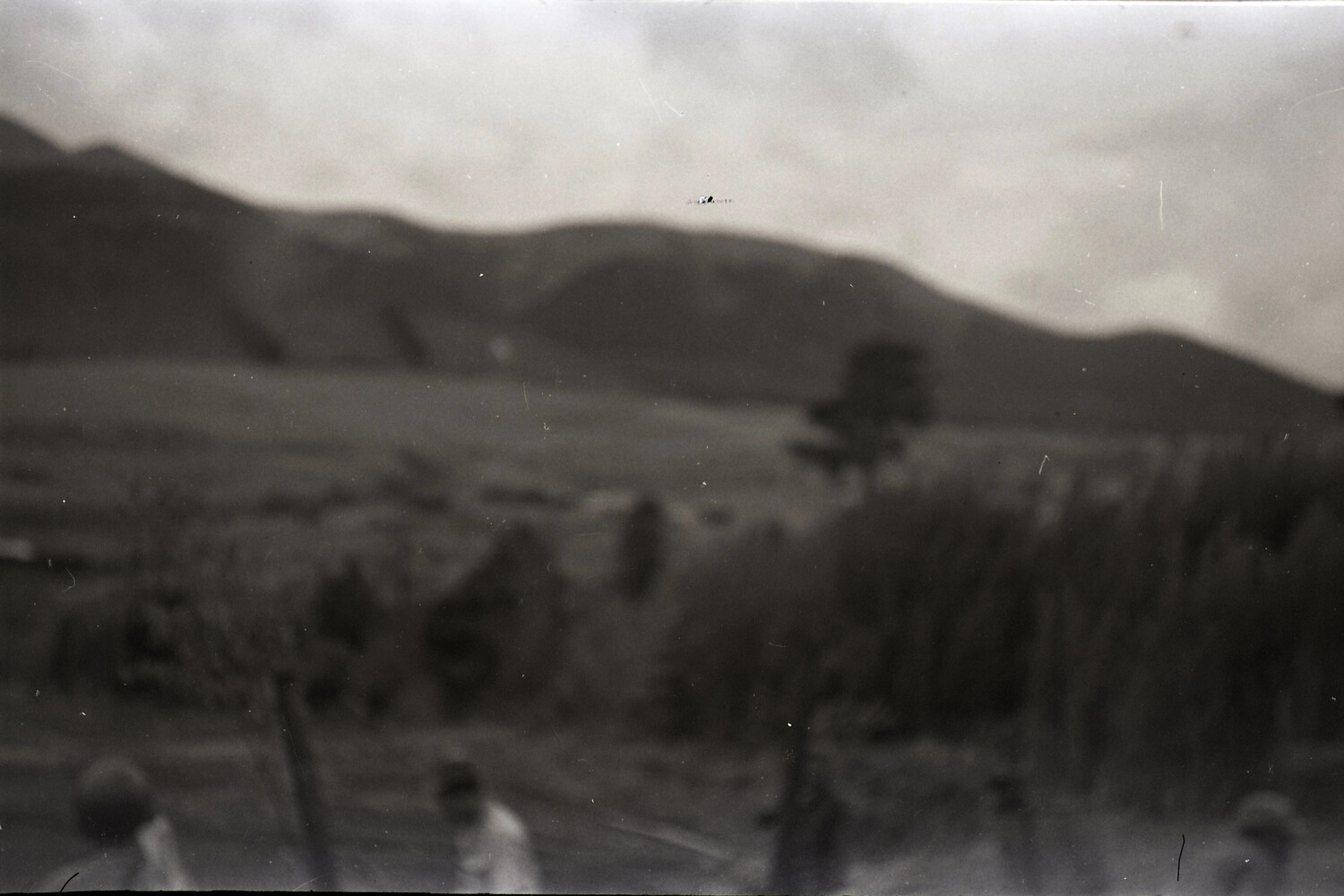 Out-of-Focus Landscape Snapshot, Korea, Associated with the 187th Airborne RCT