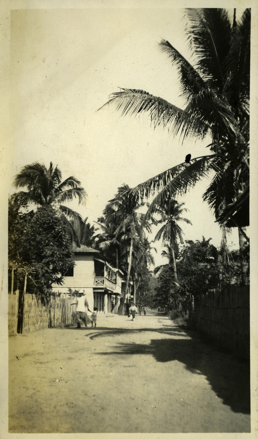 Palm-Lined Village Street with Pedestrians, Philippines, c. 1920s-1930s