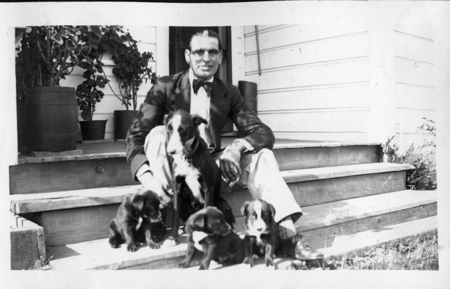 Man in Formal Attire with Dog and Puppies on Porch Steps, circa 1920-1928