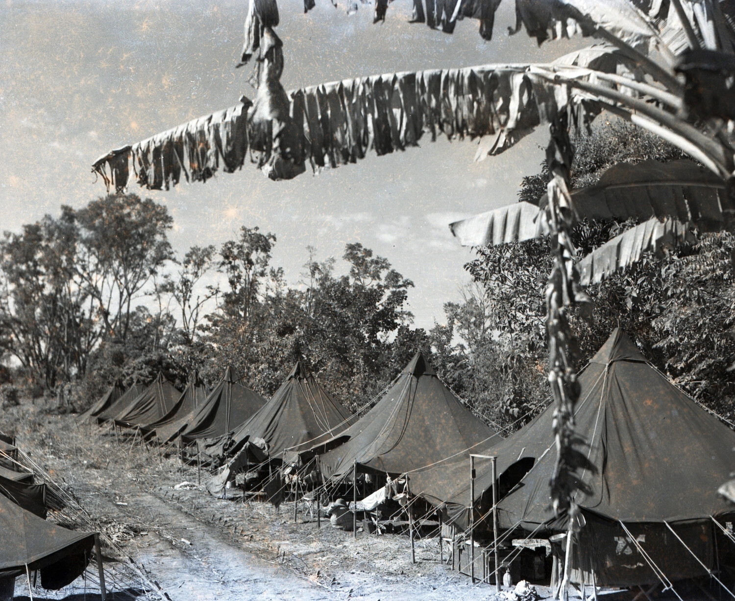 U.S. Army Bivouac Area, Burma Campaign, China-Burma-India Theater, WWII