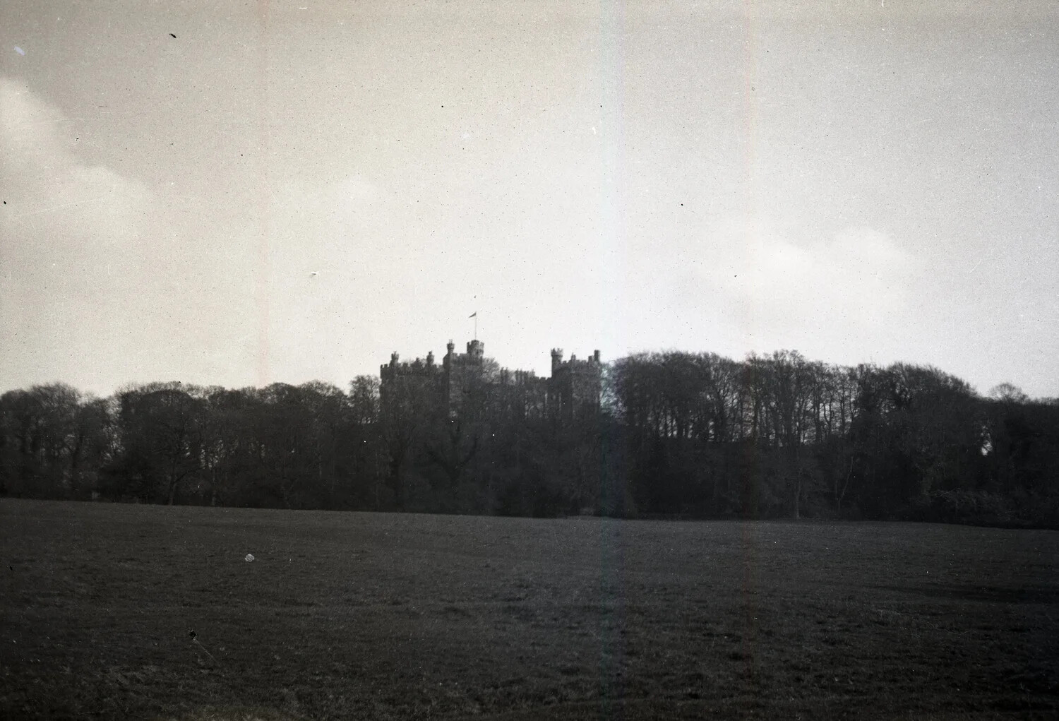 Distant Castle Behind Winter Trees, WWI-Era Negative (England or France)