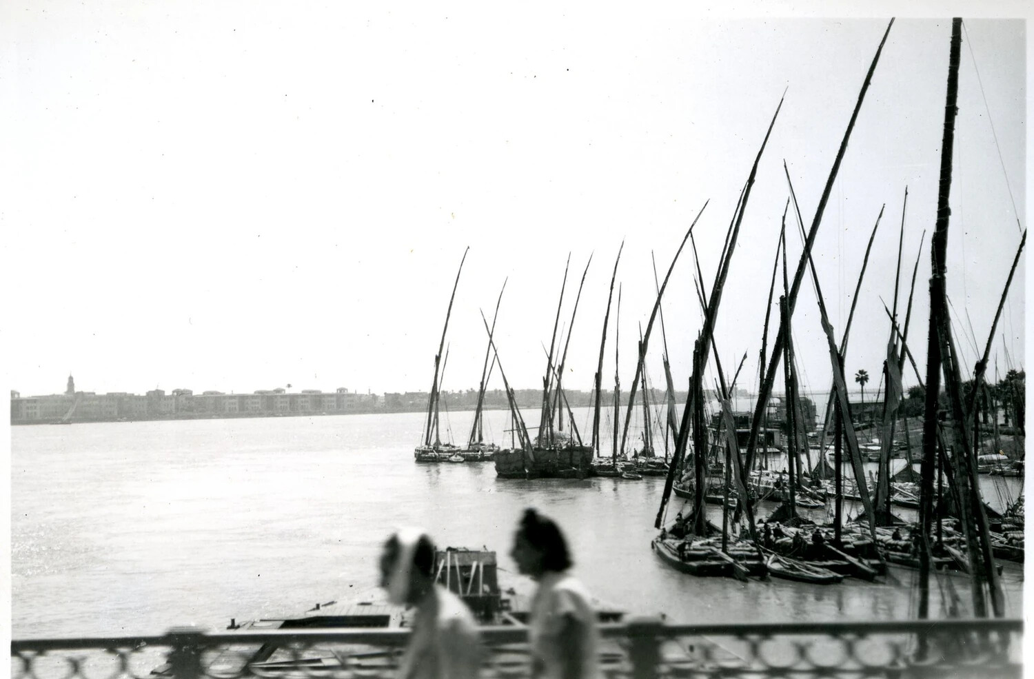 Feluccas Moored on the Nile River, Cairo, Egypt -- Wartime Transit Photograph