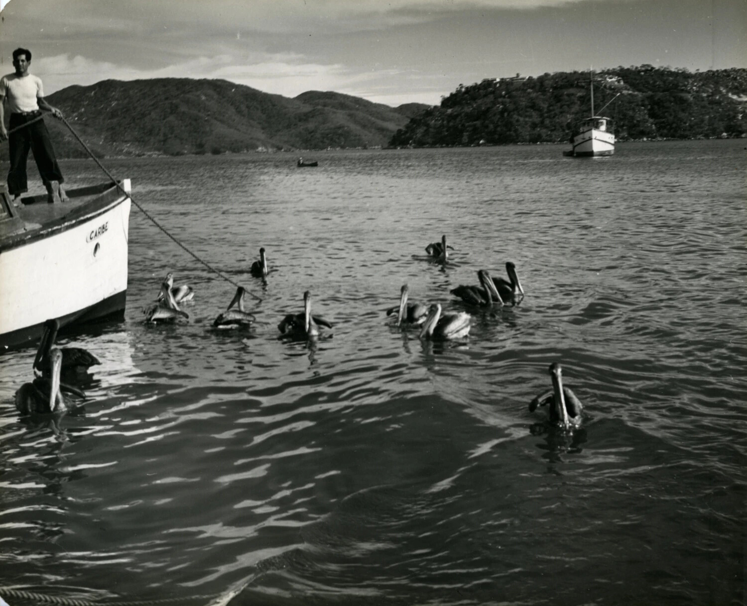 Fishing Boat 'Caribe' and Pelicans in Acapulco Bay, 1949