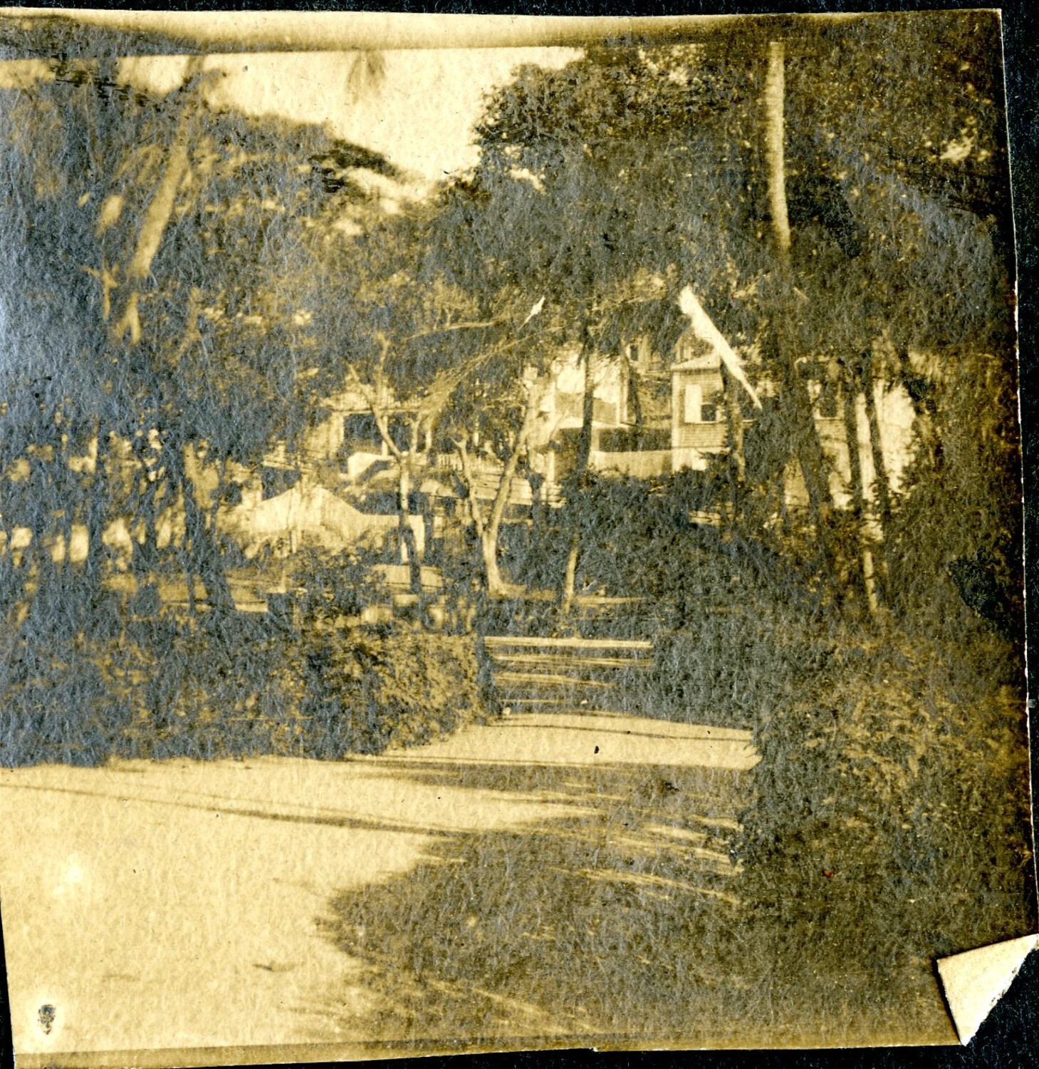 Garden Path and Residence, Tropical Port of Call, USS Columbia Album, c. 1898-1908