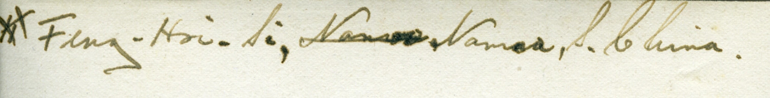 Handwritten Album Caption Strip: 'Fung-Hoi-Si... Namoa, S. China'