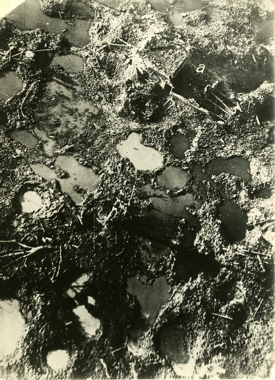 Aerial Reconnaissance Photograph of Shell-Cratered Terrain (Annotated "a") — Possible WWI Battlefield Damage