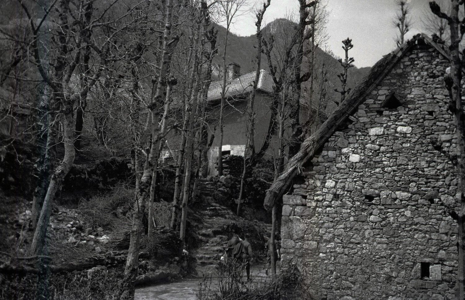 Stone Farmhouse and Mountain Path, Rural France – World War I-Era Negative
