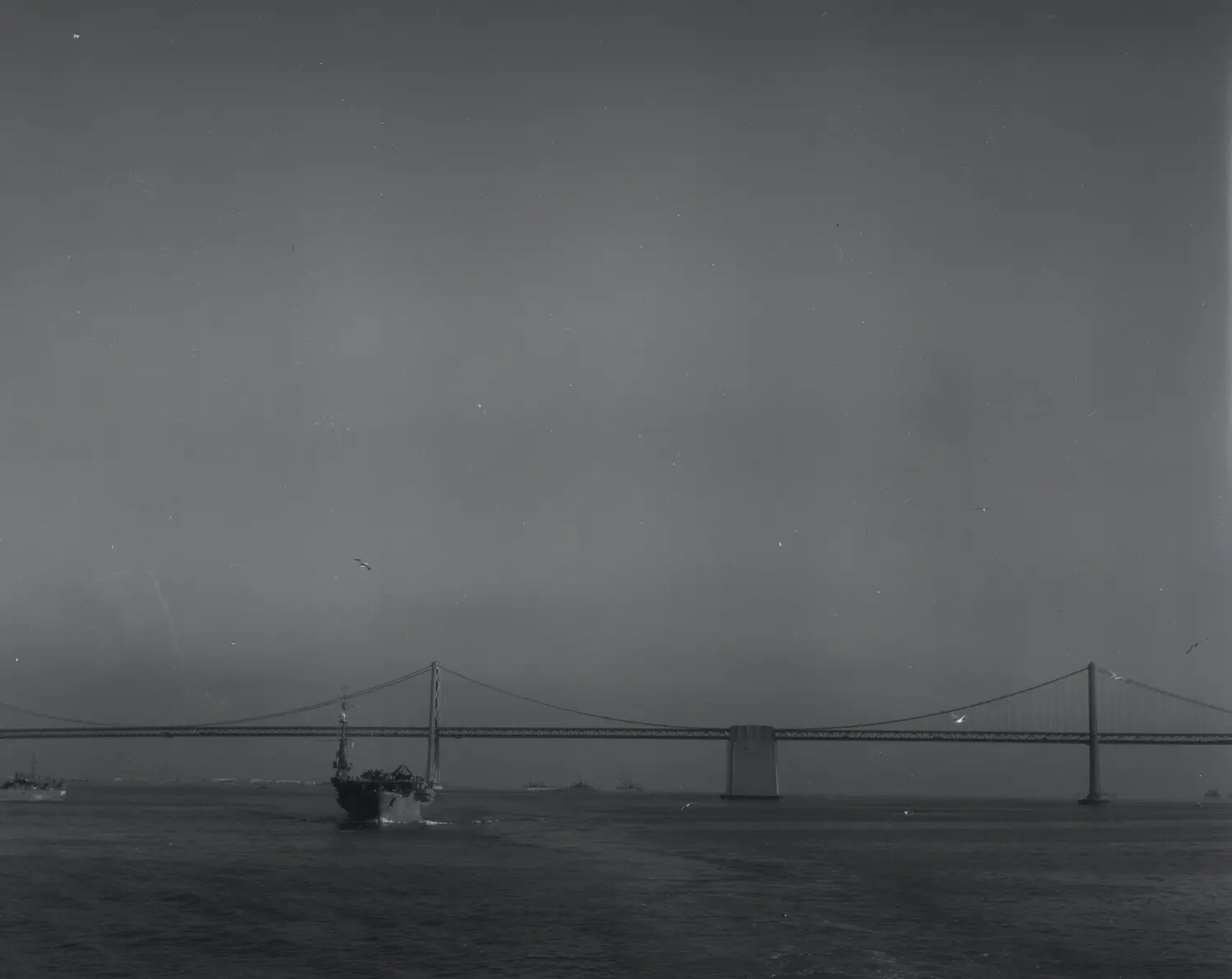 USS Petrof Bay (CVE-80) Passing Beneath Suspension Bridge, San Francisco Bay Area, WWII Era