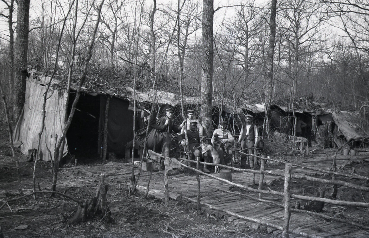 German Soldiers at Woodland Bivouac Shelters, World War I
