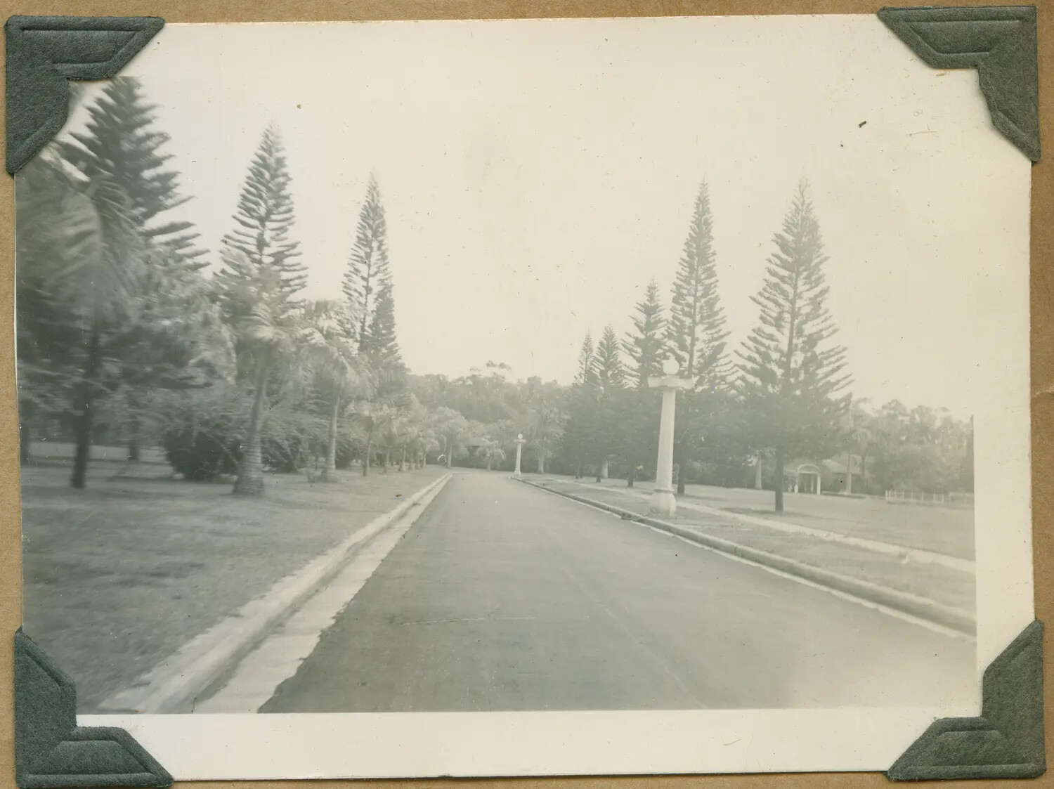 Tree-Lined Boulevard at 'General's Circle,' Oahu Military Post, Hawaii, c. 1940–1942