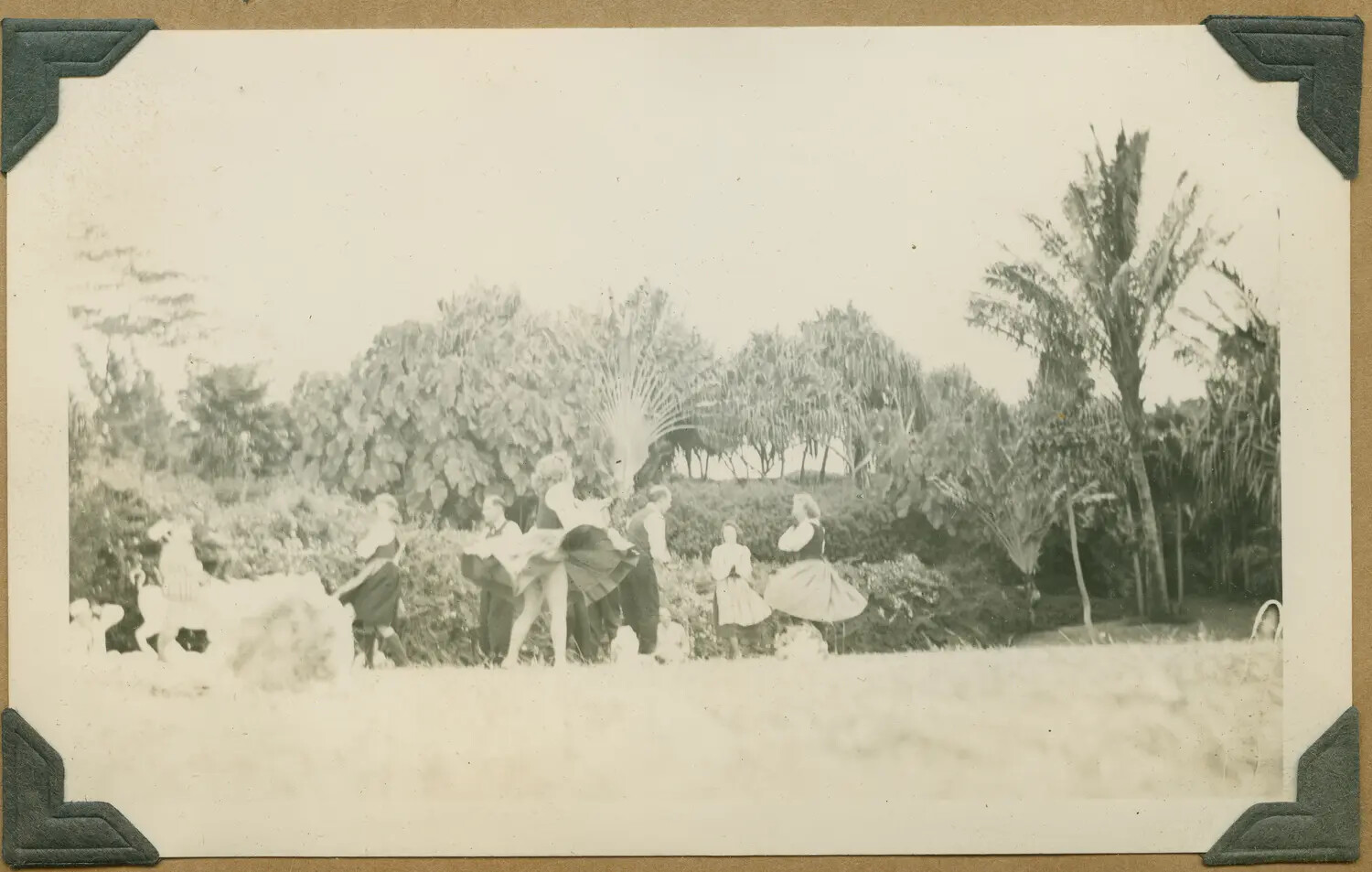 Garden Gathering with Dancers, Wartime Hawaii Photo Album