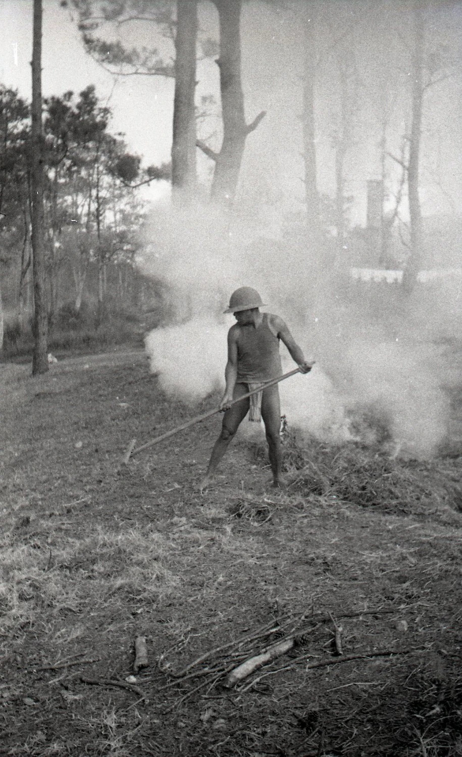 Man Tending Smoky Brush Fire in Pine Forest, Luzon Highlands, Philippines, WWII Era