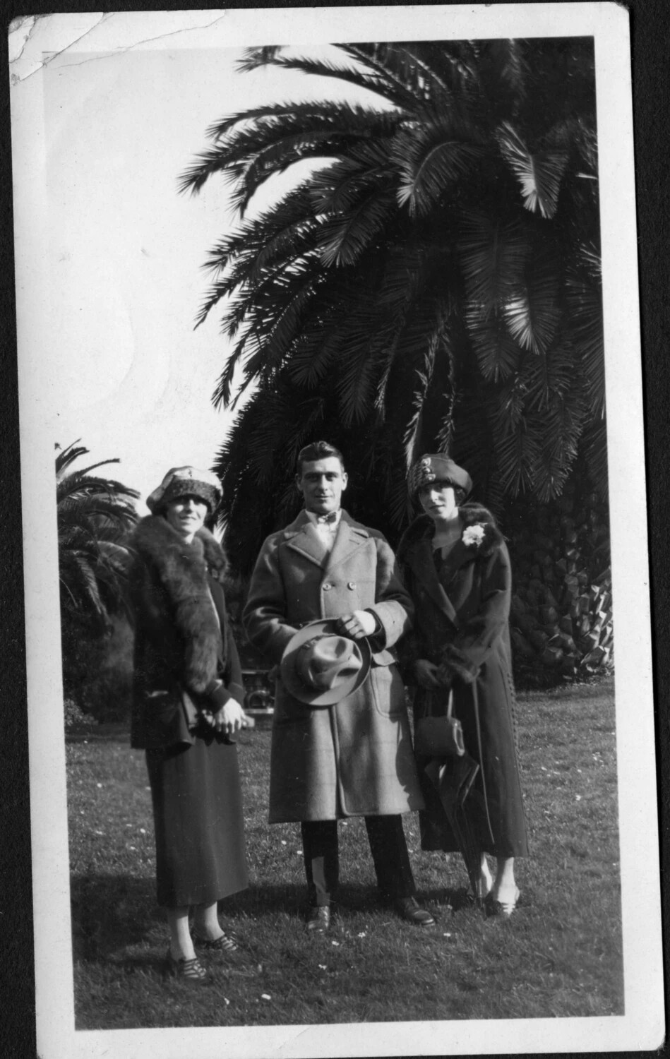 Group Portrait of Three Adults Beneath a Palm Tree, circa 1925-1930